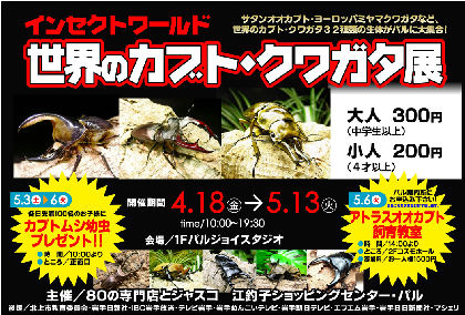 昆虫イベント　江釣子ショッピングセンターパル０１