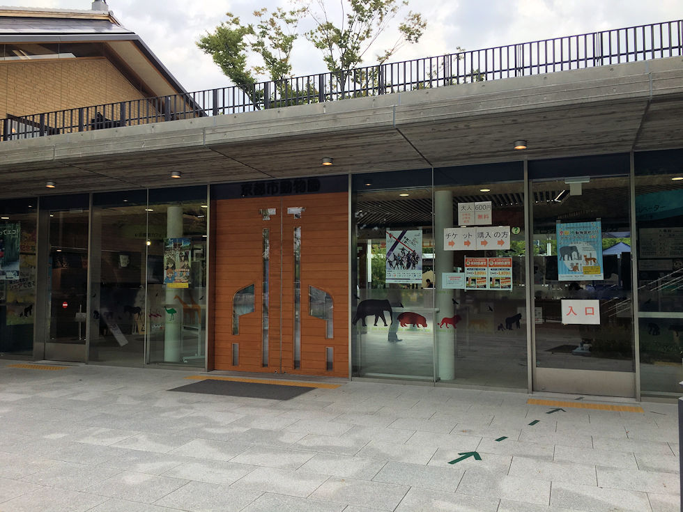 京都市動物園での昆虫イベントf