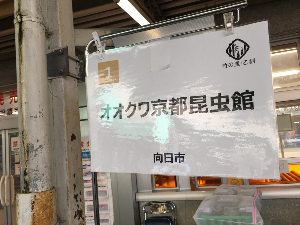 竹の里・乙訓物産展　オオクワ京都昆虫館の看板