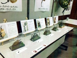 越前町立福井総合植物園プラントピア 昆虫イベント３