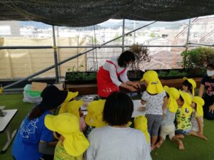 年中児クラス保育園でのお楽しみ会　ミニ昆虫イベントの開催