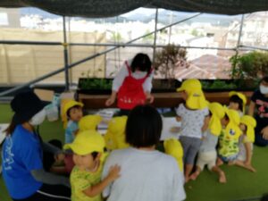 2歳児クラス保育園でのお楽しみ会　ミニ昆虫イベントの開催