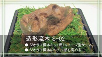 造形流木S-02＋キューブ型ケース