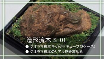 造形流木S-01＋キューブ型ケース