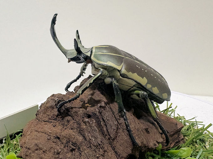 ポリフェムスオオツノカナブン♂68mmレプリカジオラマ標本e
