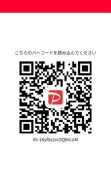 PayPay QR