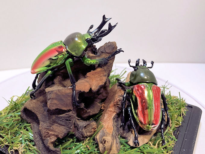 ニジイロクワガタペア レプリカジオラマ標本c